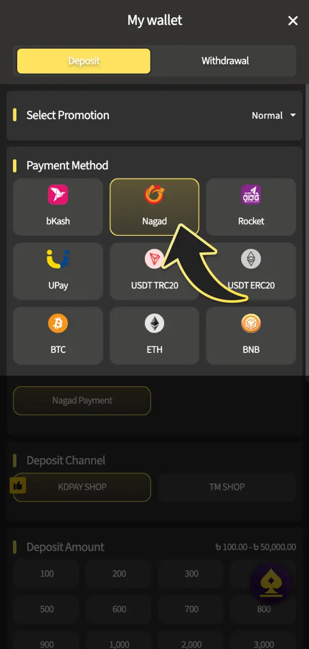 Make your first deposit securely to fund your TekkaBuzz cricket wallet.