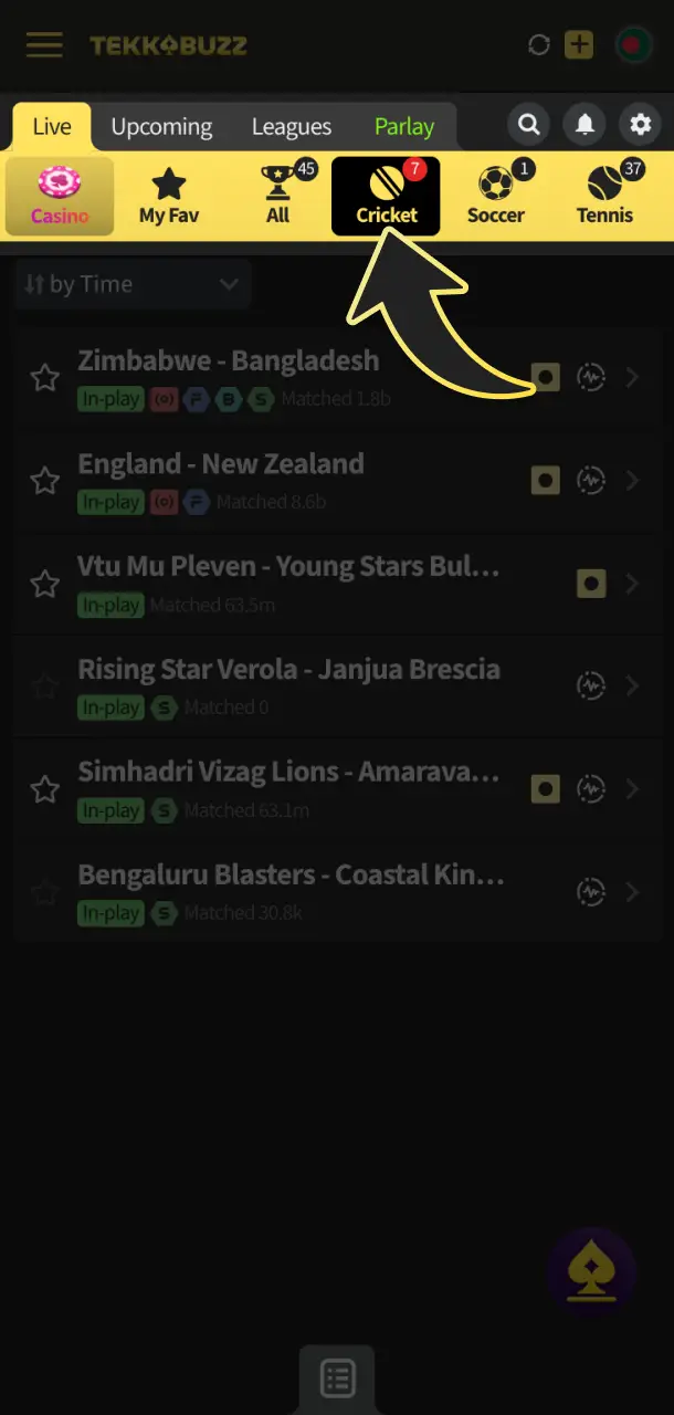 Navigate to the cricket section to find the best current odds.